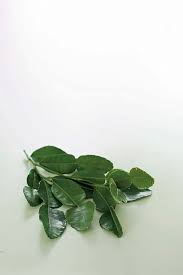 Daun limau purut memainkan peranan penting. Kaffir Lime Leaves Daun Limau Purut Peranakankitchen