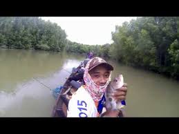 Mancing Menyelusuri Paloh Secanggang Youtube