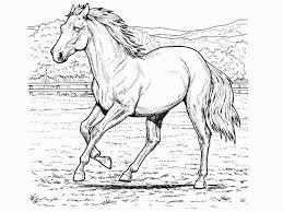 Dibujos Para Colorear De Animales Reales
