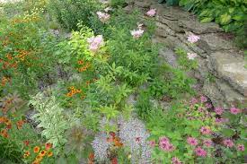 It also helps clean rain water runoff by removing up to 90 percent of fertilizer nutrients and up to 80 percent of sediments. How To Build A Rain Garden Plants And Designs The Old Farmer S Almanac