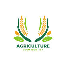 Rice Logos Wheat With Green Leaves And Natural Concept Agriculture Logo Agriculture Design Logo Choices
