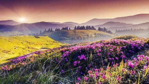 Valley of Flowers & Hemkund Sahib Tour Package  — Valley of Flowers National Park, Hemkund Sahib, Govindghat, Ghangaria, Joshimath, Badrinath (Optional), Pulna Village