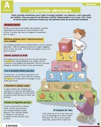 Science Infographic Science Infographic La Pyramide Alimentaire Infographicnow Com Your Number One Source For Daily Infographics Visual Creativity Teaching French French Lessons Food In French