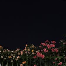 See more ideas about aesthetic art, cute art, spotify playlist. Aesthetically Pleasing Playlist Covers