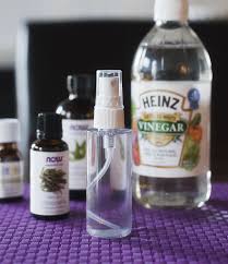 If you have any of those pesky little ants wandering around the house or yard you might try this little trick to get rid of them. Diy Natural Mosquito Tick Repellent Diy Natural Products Natural Repellent Repellent