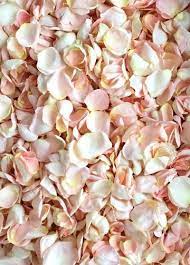Biodegradable Freeze Dried Rose Petals In Blush Pink 8 Cups Silk Flower Petals Flower Girl Petals Freeze Dried Rose Petals