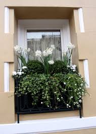How to create beauty & balance. Window Box White Winter Flowers From San Francisco Paper Whites Ivy Roses Window Box Flowers Winter Flowers Container Flowers