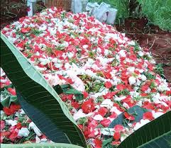 Membaca surat yasin juga dipercaya dapat mempermudah berbagai masalah hidup yang sedang dialami. Surat Yasin Dan Doa Sesudah Membaca Surat Yasin Arab Latin Dan Terjemahannya Dunia Kayka