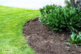 How To Recut Flowerbed Edges Like A Pro Part 2 With Video Flower Bed Edging Flower Beds Garden Help