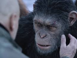 War for the planet of the apes. War For The Planet Of The Apes Review A Highly Evolved Cgi Enhanced Epic Sight Sound Bfi