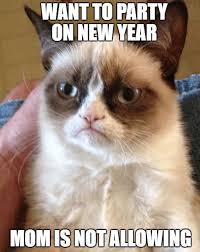 Happy New Year Memes Thoughts 2019 For Friends And Family Grumpy Cat Quotes Funny Grumpy Cat Memes Grumpy Cat Humor