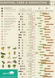 Companion Planting Guide Graphic Gardendesignvegetable