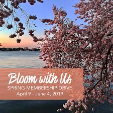 Unlike many of the large corporate tree services, rowan will affordably complete your work. April 9th Our Bday Member Drive Cowork With Your Bff Open House Rowan Tree