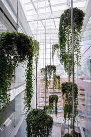 Hanging Garden Green Facade Hanging Plants