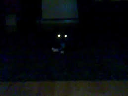 Cats Eyes Glowing In The Dark Pretty Cool Dark Aesthetic Pretty Cool Makeup Artist Kit