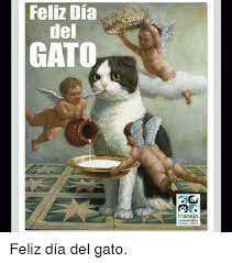 Sí, hoy puede que se te llene el cpu de gatitos pero quién no quiere ver felinos tan lindos como estos #díainternacionaldelgato. Feliz Dia Del Gato Manejo Umanitario De Fauna Callejera Feliz Dia Del Gato Meme On Me Me
