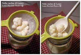 Check spelling or type a new query. Kefir Cosa E E Come Farlo In Casa