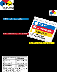 To find this, go to: Hmis Label Template Fill Online Printable Fillable Blank Pdffiller