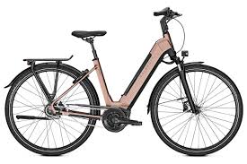 Schicke Tiefeinsteiger City E Bikes 2019 Fahrrad Xxl Blog