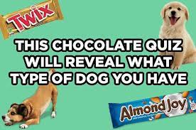 This Chocolate Quiz Will Reveal What Type Of Dog You Have Types Of Dogs Dog Quiz Dog Quizzes