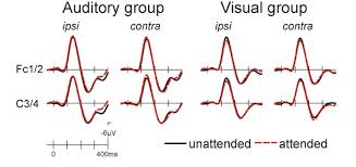 Assessment | biopsychology | comparative | cognitive | developmental | language | individual differences | personality | philosophy | social | methods | statistics | clinical | educational | industrial | professional items | world psychology |. Crossmodal Attention Effects On Brain Responses To Different Stimulus Classes Bmc Neuroscience Full Text