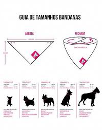Como Fazer Caixa De Areia Fechada Para Gatos Pin Em Perros
