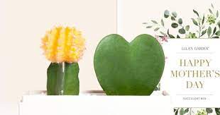 We did not find results for: Best Mothers Day Plants To Gift Mom 2021