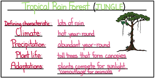 What two things do trees need to grow? Tropical Biomes Rainforest Dry Forest Savanna Expii