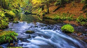 Over 70 Beautiful River Hd Wallpapers For Qimen Dunjia Masters In 2021 Widescreen Wallpaper Online Marketing Strategies Feng Shui Master