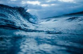 Tides Currents Smithsonian Ocean Major surface ocean currents in the open ocean, however, are set in the audio, illustrations, photos, and videos are credited beneath the media asset, except for promotional images, which generally link to. tides currents smithsonian ocean