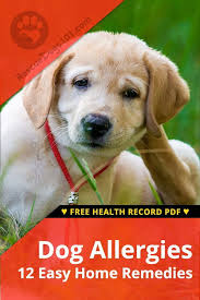 Pin On Dog Health