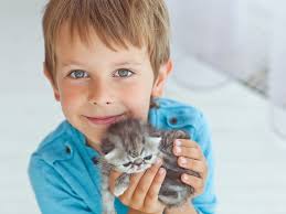 Kedi Alerjisi Hakkinda Tum Bildiklerinizi Unutun Kadin Com