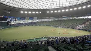 Japanese Baseball At The Seibu Dome Gaijinpot
