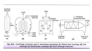 Stages In Downstream Processing 5 Stages