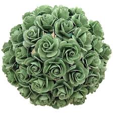 Lemon leaf — stock photo © brankavv #3406446. 50 Mint Green Mulberry Paper Open Roses 10mm 112088 Wild Orchid Crafts