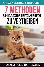 Katze Aus Dem Garten Vertreiben In 2020 Katzen Vertreiben Schreck