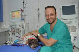 0732.112.vet ( 0732.112.838 ) sau 0727.60.62.62. Facultate De Medicina Veterinara Veterinary Journalist