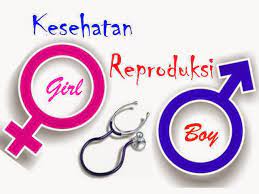 Definisi kesehatan reproduksi menurut para ahli. Konsep Dasar Kesehatan Reproduksi