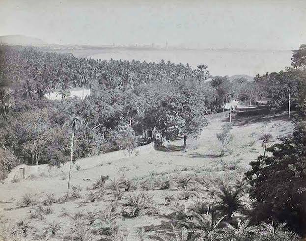 View of Back Bay From Malabar Hill Bombay, 1879 Photo - Past-India