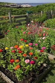 Pin By Marla Corson On In The Garden Vegetable Garden Design Garden Layout Plants