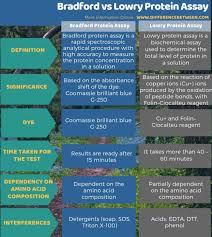 The lowry protein assay is a biochemical assay for determining the total level of protein in a solution. Difference Between Bradford And Lowry Protein Assay Compare The Difference Between Similar Terms