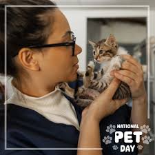 Foxtail Pines Veterinary Hospital