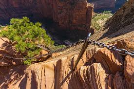 On your way down hike some of the west rim trail. Nur Fur Schwindelfreie Angel S Landing Trail Im Zion N P