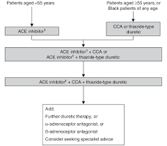 British Hypertension Society Guidelines For Treatment Of