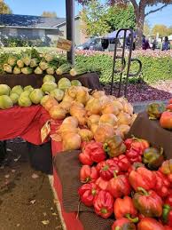 Check spelling or type a new query. Beaverton Farmers Market 2021 All You Need To Know Before You Go With Photos Tripadvisor