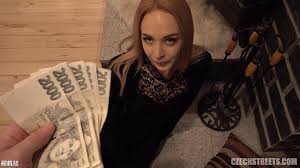 捷克街头金钱搭讪三1V网盘- 欧美视频- 司机社