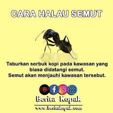 Bagaimana cara kita untuk menghalau semut secara alami dari lemari makan? Facebook