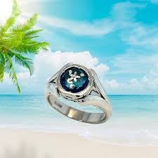 Image result for Sand Glow 1982 Fairmont