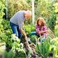 Gardeners’ Hour: November event image