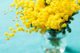 Festa delle donne 2017 hotel ristorante insonnia. Festa Della Donna Origini Miti E Leggende